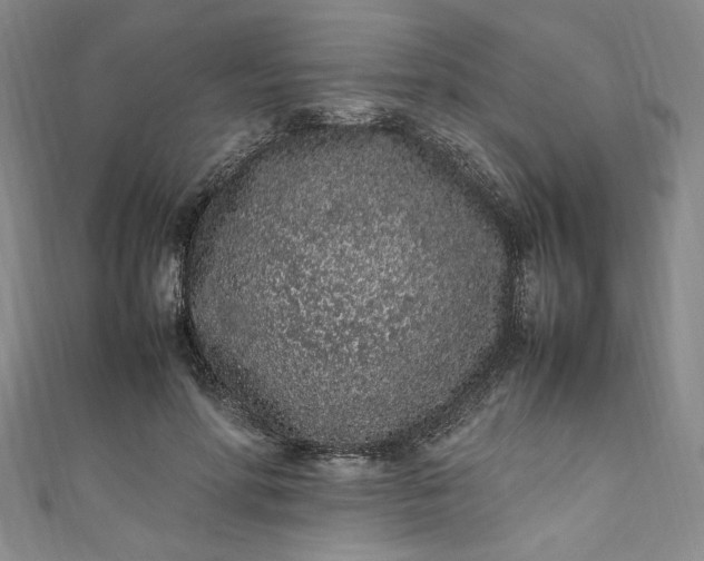 X0000111470598200907271313