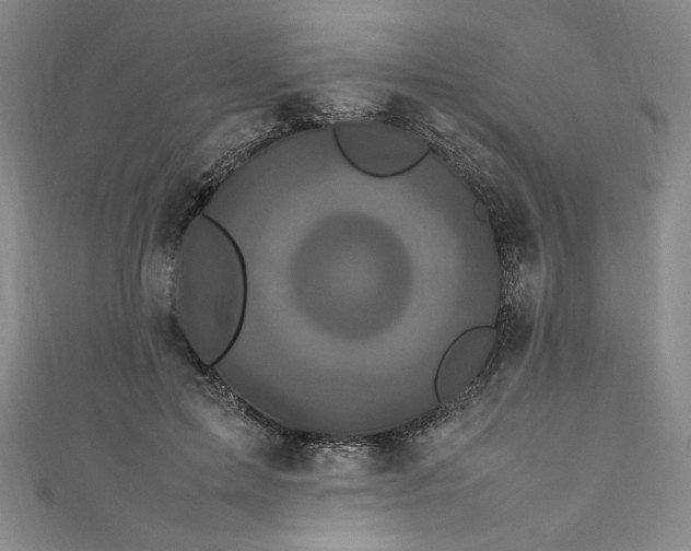 X0000111470599200907271313