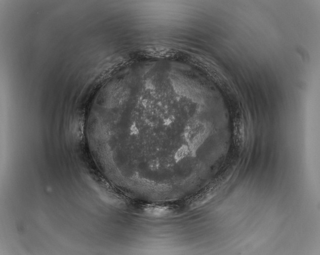 X0000111470602200907271313