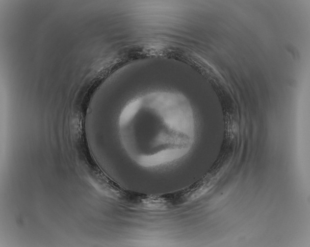 X0000111470603200907271313