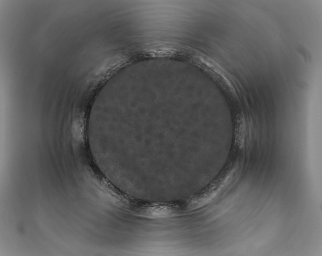 X0000111470604200907271313