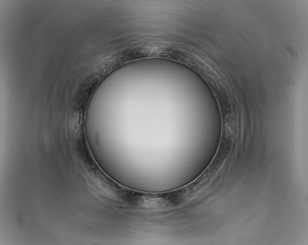 X0000111470605200907271313