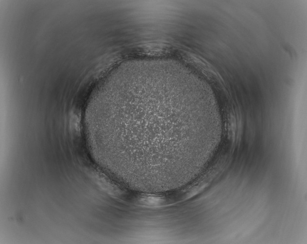 X0000111470610200907271313