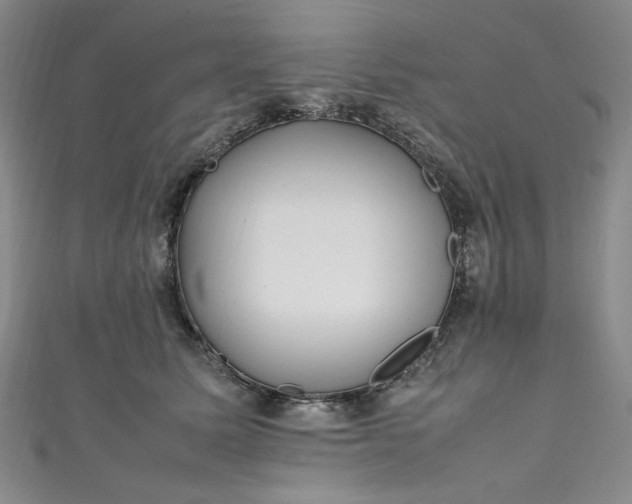 X0000111470611200907271313