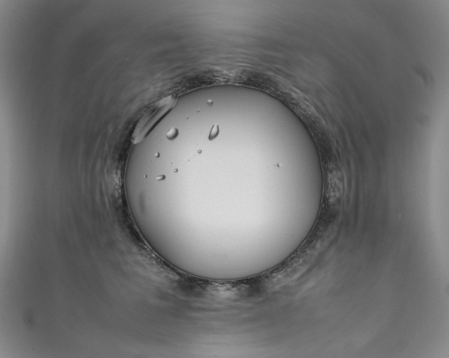 X0000111470613200907271313