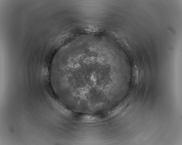 X0000111470614200907271313