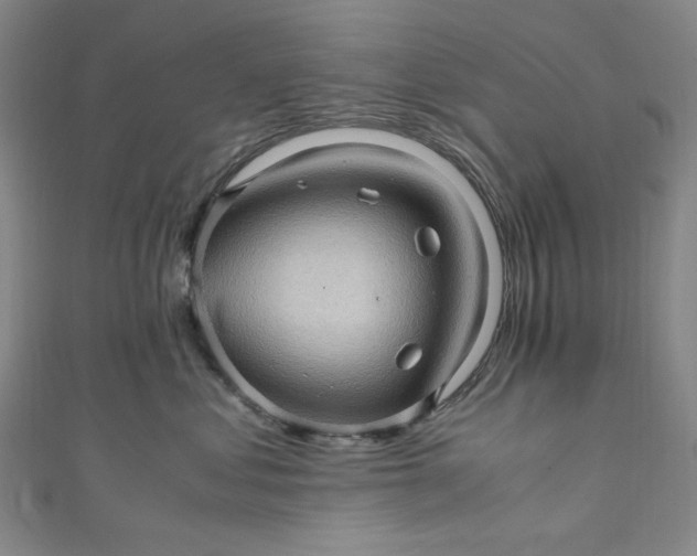 X0000111470621200907271313