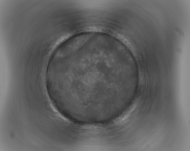 X0000111470625200907271312