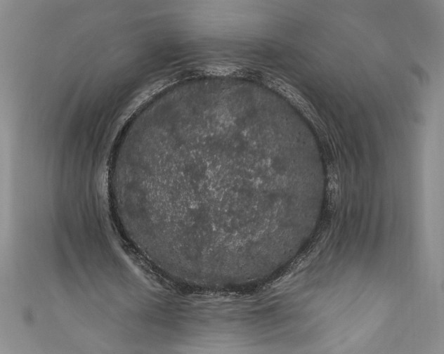 X0000111470626200907271312