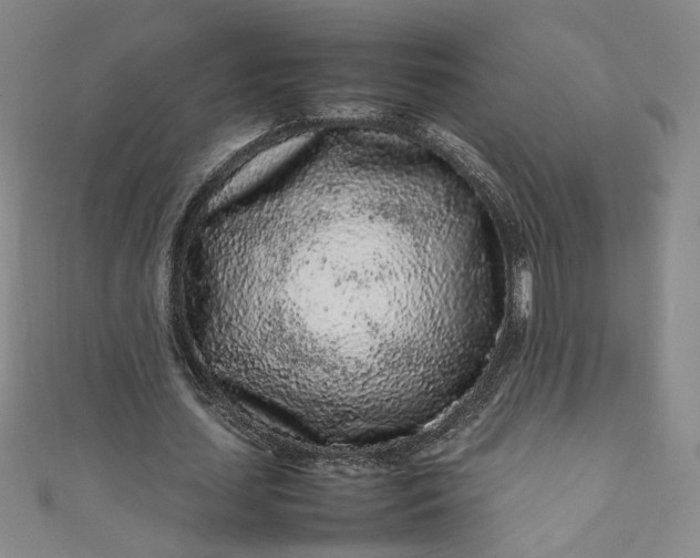 X0000111470627200907271312