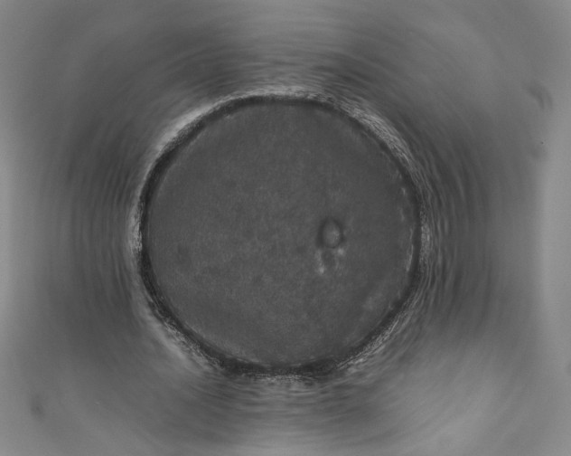 X0000111470628200907271312