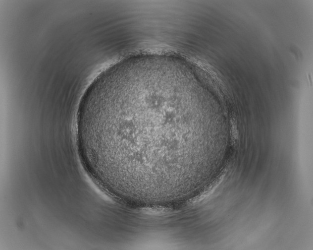 X0000111470630200907271312