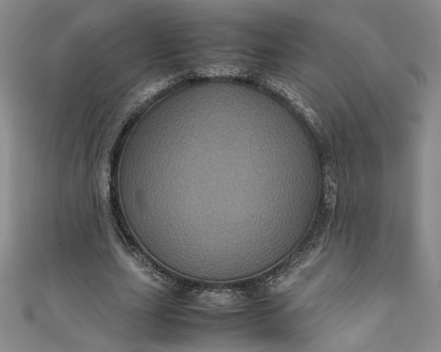 X0000111470631200907271312