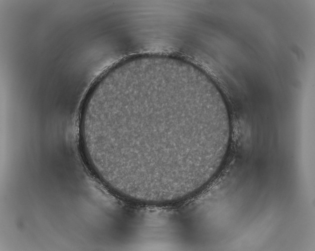 X0000111470632200907271312