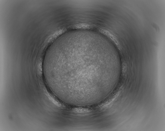 X0000111470633200907271312