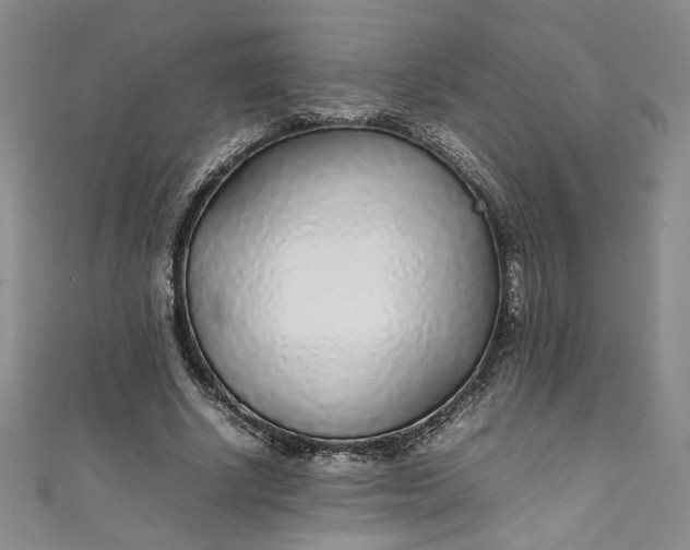 X0000111470634200907271312