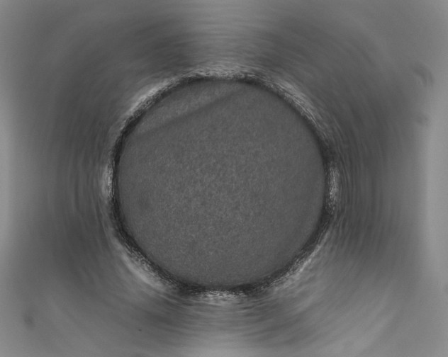 X0000111470636200907271312