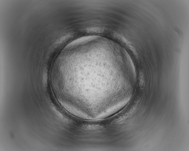 X0000111470637200907271312