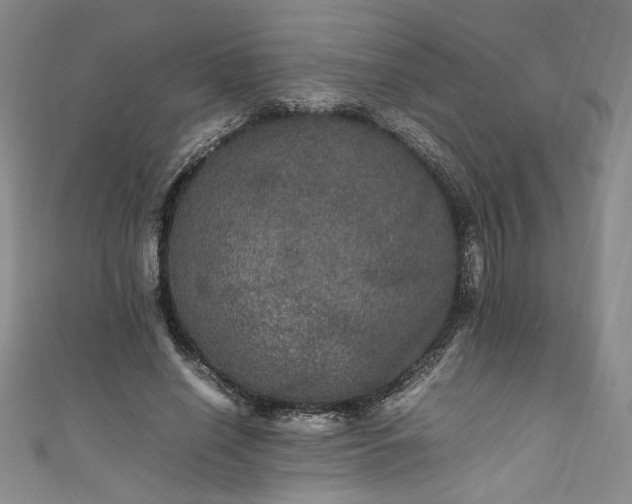 X0000111470638200907271312