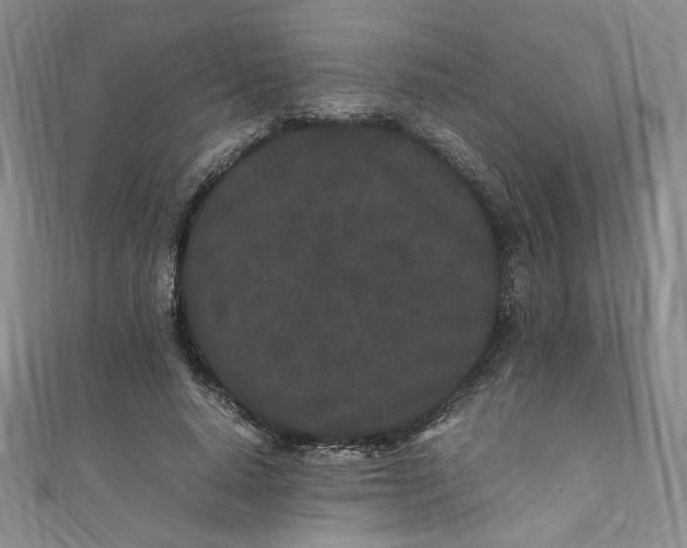 X0000111470640200907271312