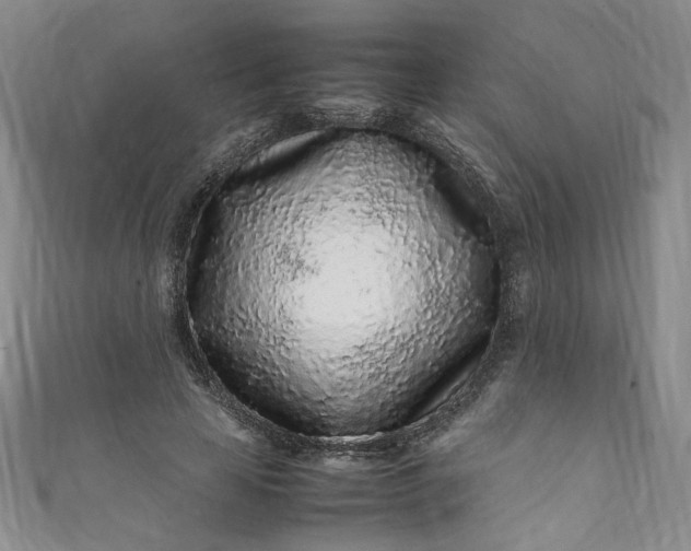 X0000111470641200907271312