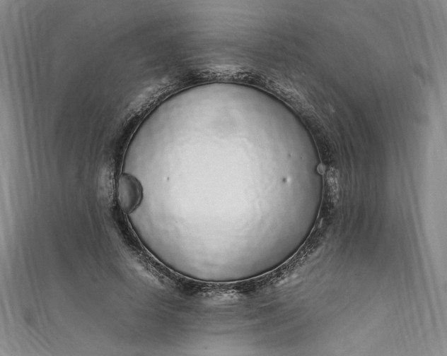 X0000111470642200907271312