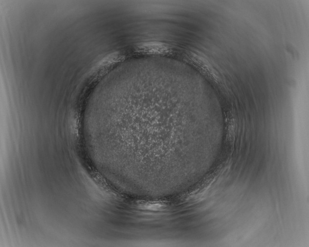 X0000111470643200907271312