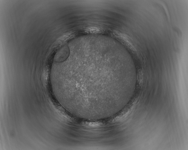 X0000111470645200907271313