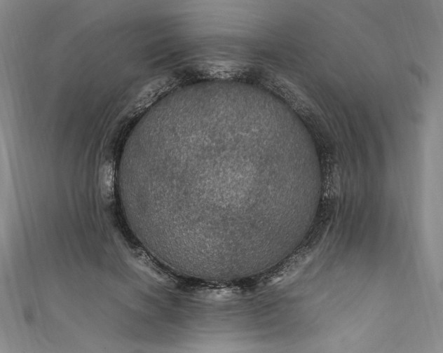 X0000111470646200907271313