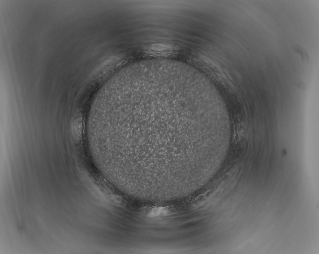 X0000111470647200907271313