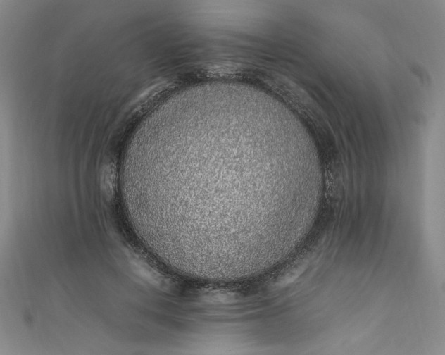 X0000111470648200907271313