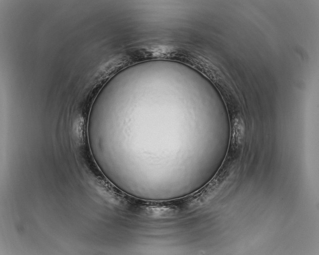 X0000111470650200907271313