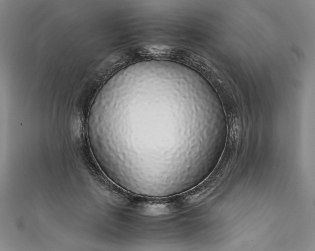 X0000111470651200907271313