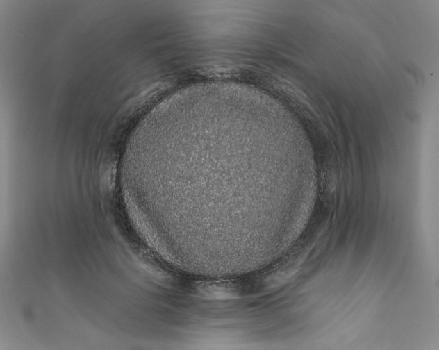 X0000111470652200907271313