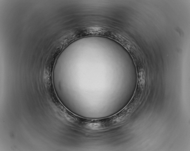 X0000111470653200907271313