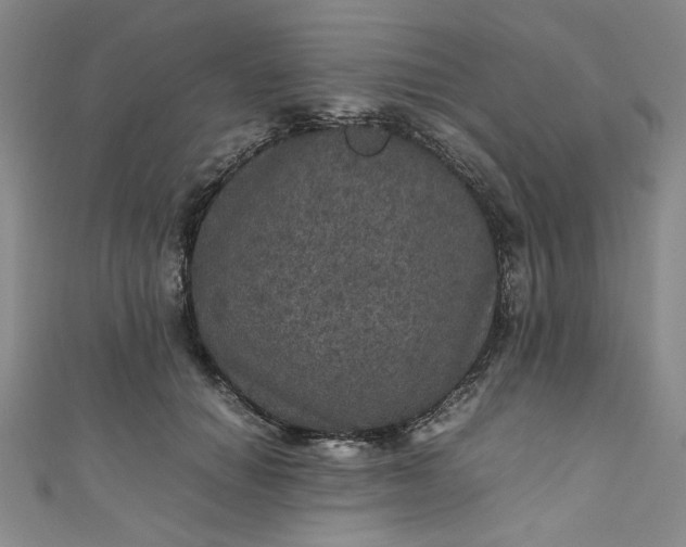 X0000111470654200907271313