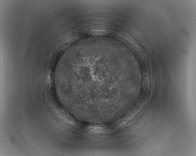 X0000111470655200907271313