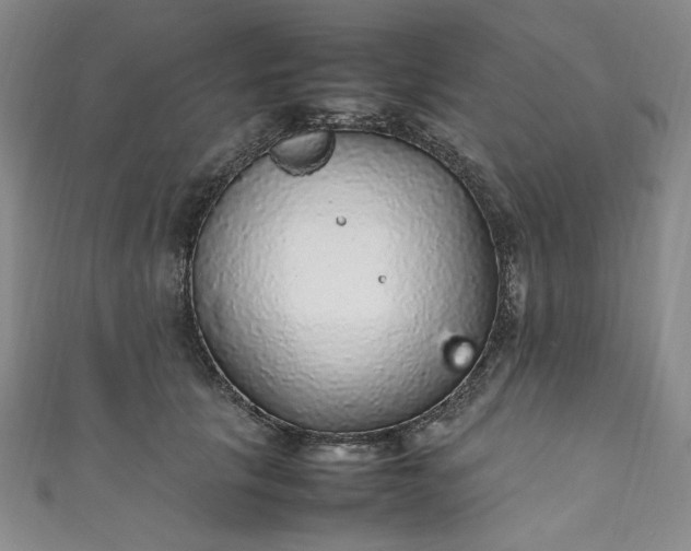 X0000111470657200907271313