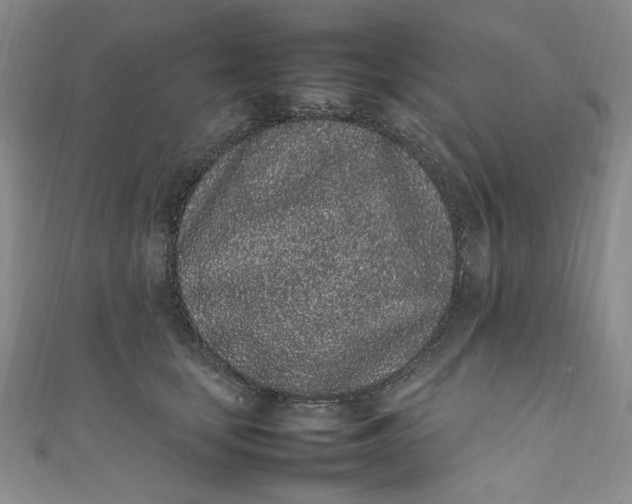 X0000111470659200907271313