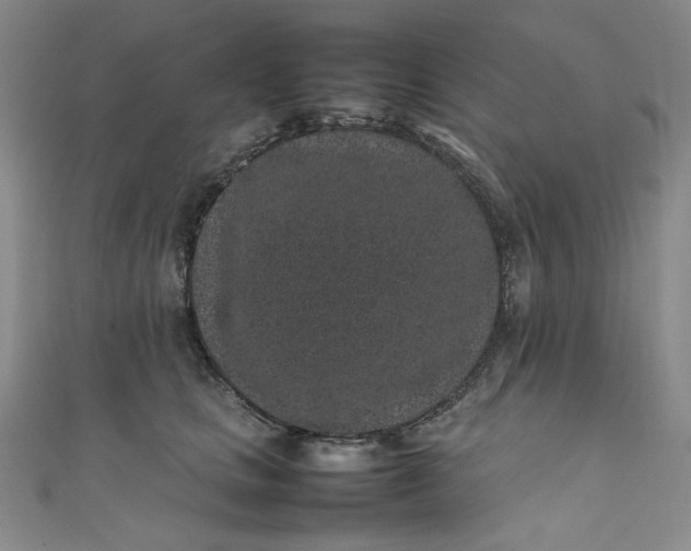 X0000111470661200907271313