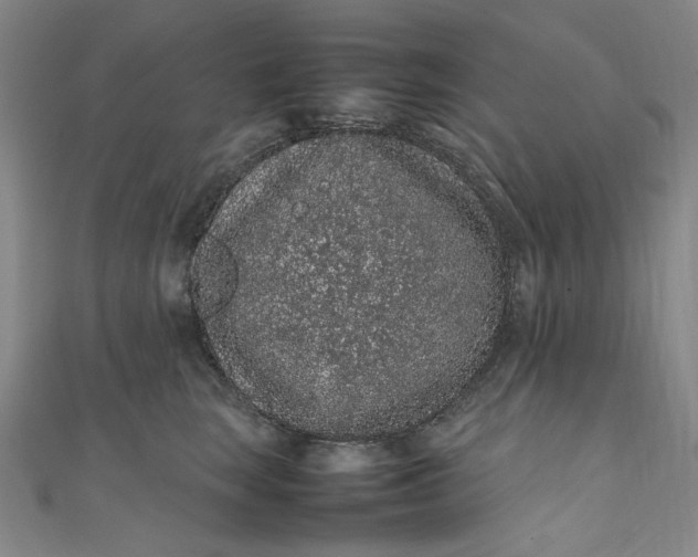 X0000111470663200907271313