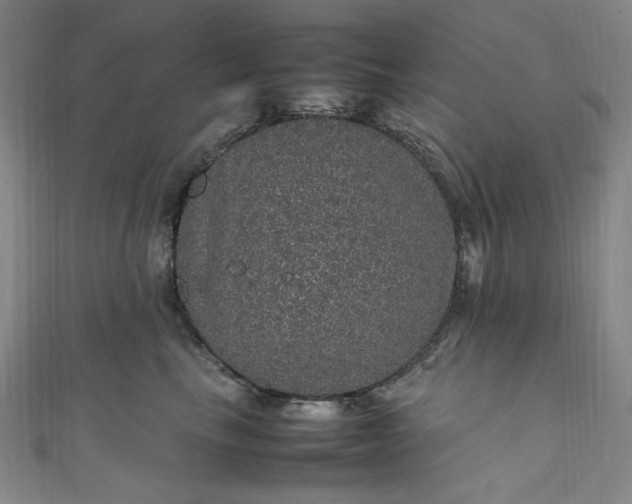 X0000111470665200907271313