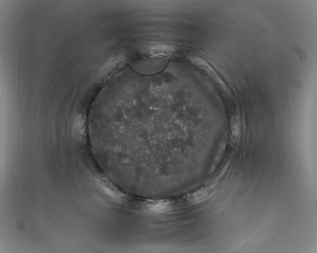 X0000111470667200907271313