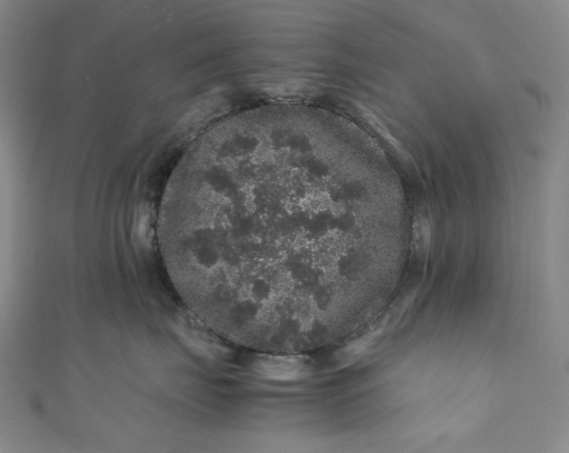 X0000111470671200907271313