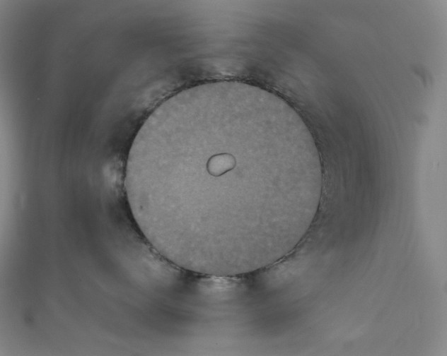 X0000111470672200907271313