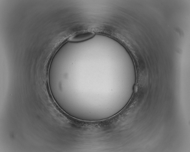 X0000111470673200907271312