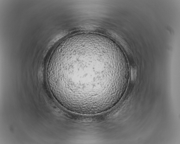 X0000111470675200907271312