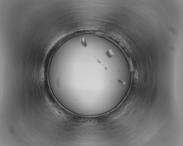 X0000111470676200907271312