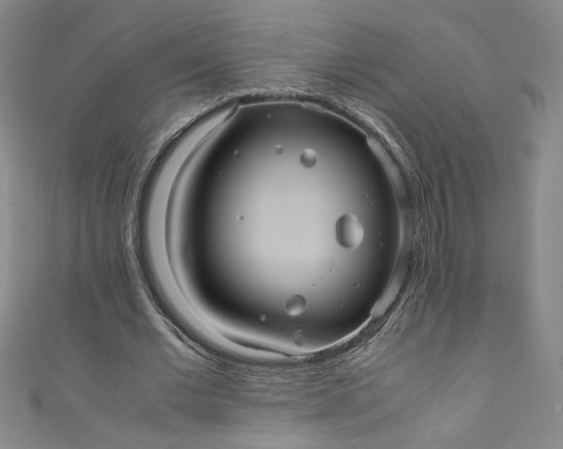 X0000111470677200907271312