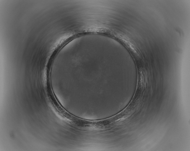 X0000111470678200907271312